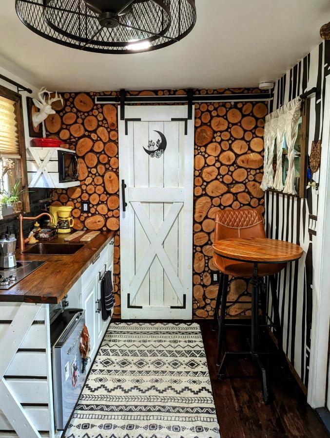 Willa Cozy Af Tiny-House Oasis Tampa Zewnętrze zdjęcie