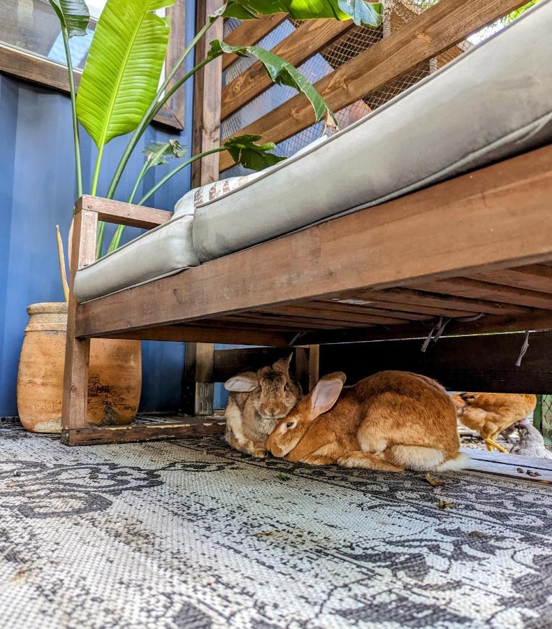 Willa Cozy Af Tiny-House Oasis Tampa Zewnętrze zdjęcie