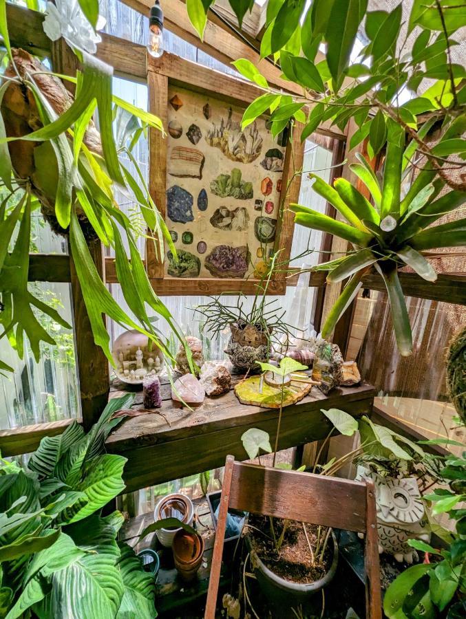 Willa Cozy Af Tiny-House Oasis Tampa Zewnętrze zdjęcie